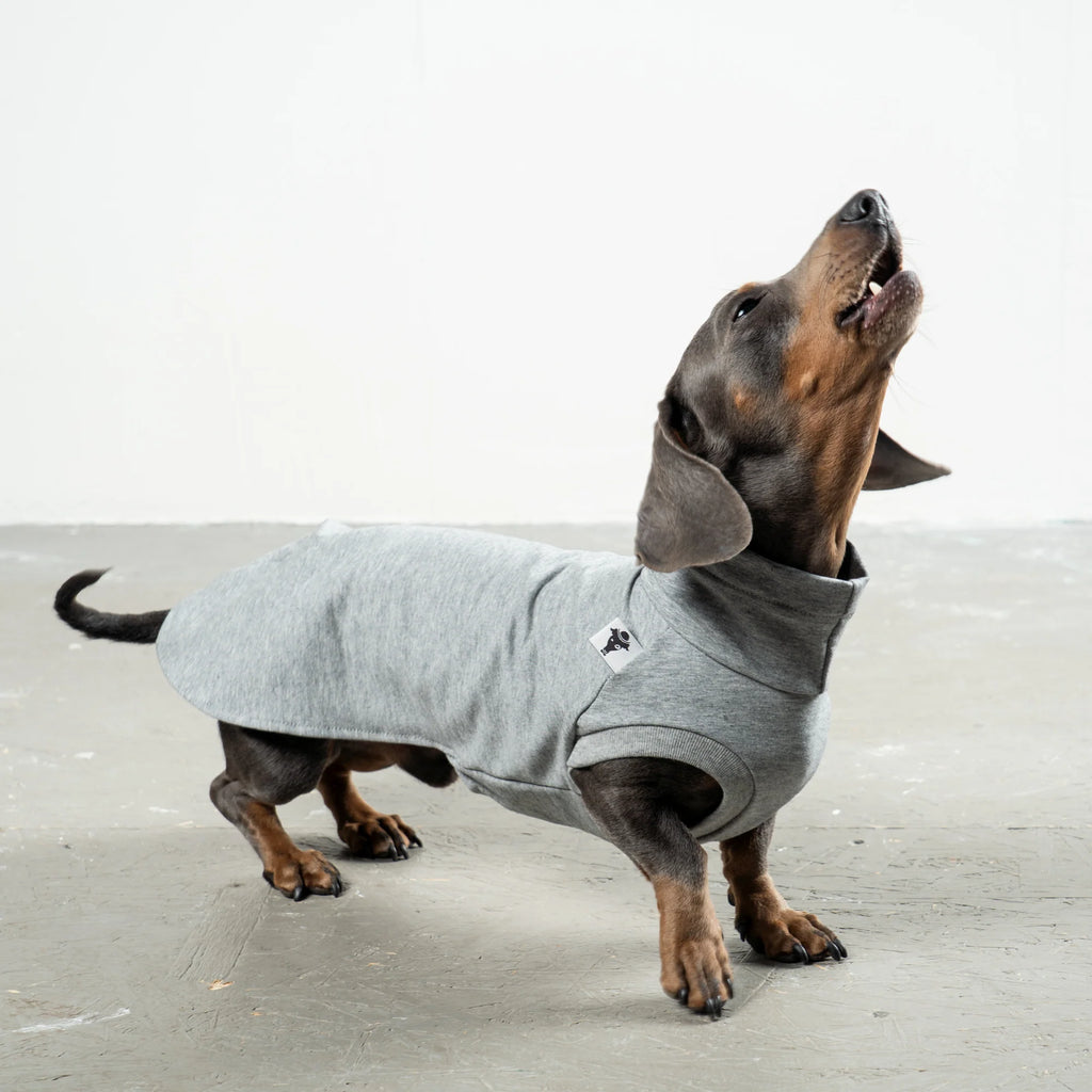 Cotton Shirt für Dackel | Grey Melange - Hundepullover