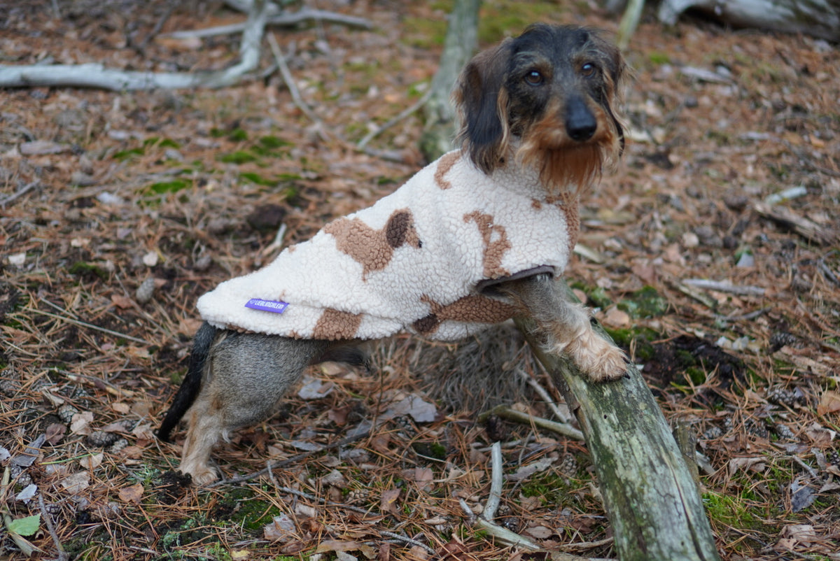 Hundepullover Dackel | all over dackel - Hundepullover