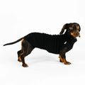 Long Shirt 2.0 für Dackel | Schwarz Hundepullover