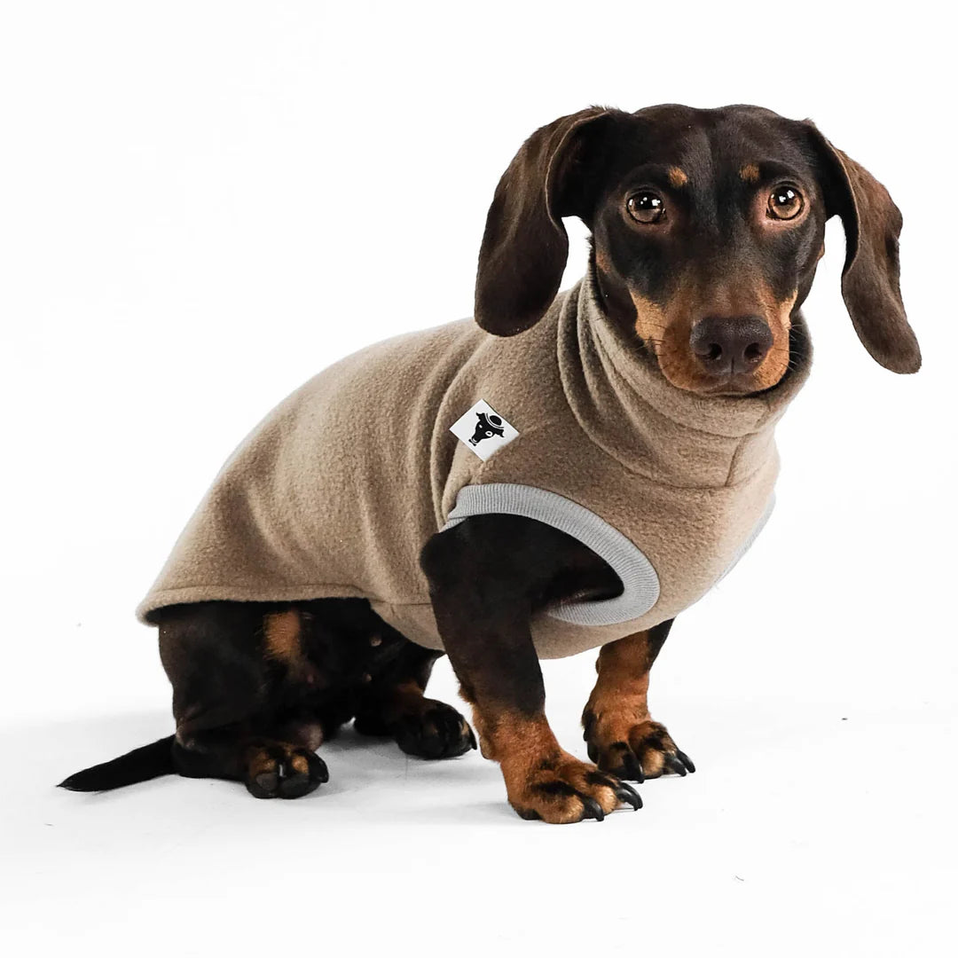Long Shirt 2.0 für Dackel | Walnut - Hundepullover