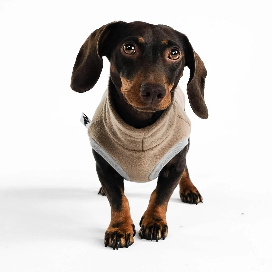 Long Shirt 2.0 für Dackel | Walnut - Hundepullover