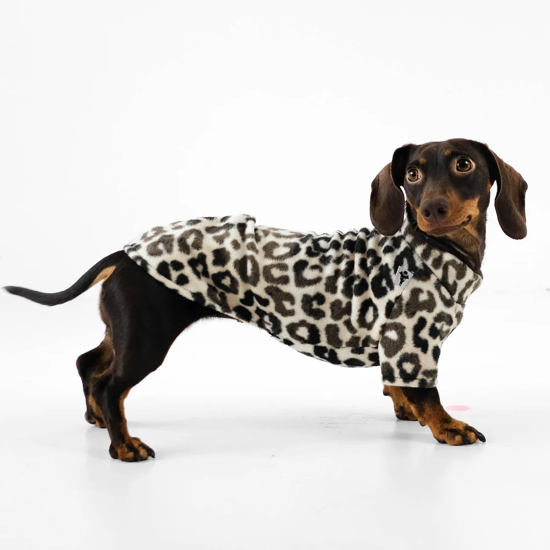 Pullover für Dackel | Leo - Hundepullover