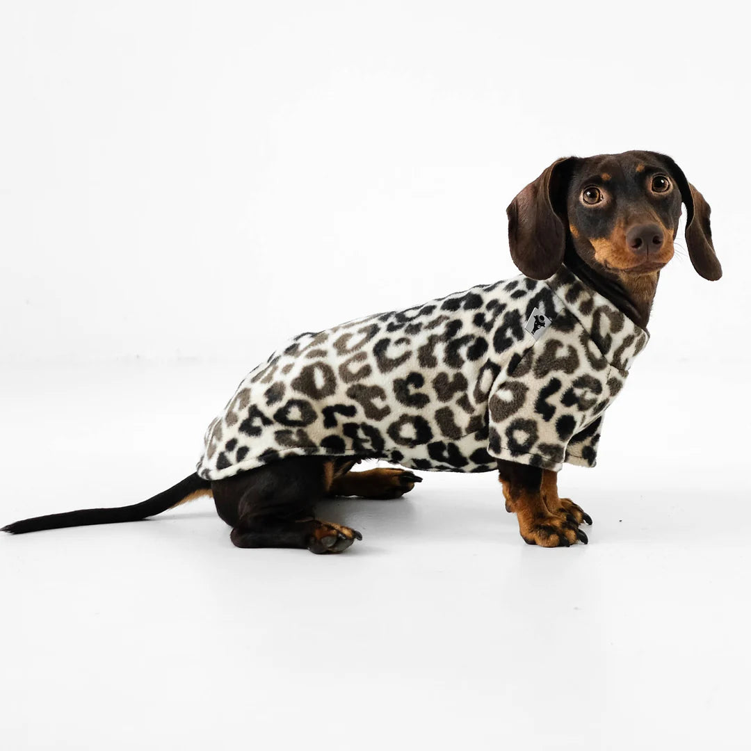Pullover für Dackel | Leo - Hundepullover