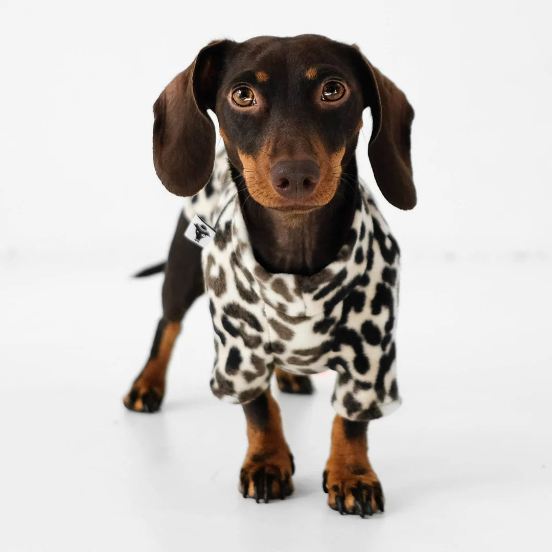 Pullover für Dackel | Leo - Hundepullover