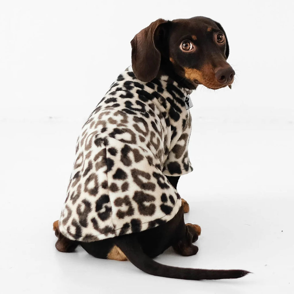 Pullover für Dackel | Leo - Hundepullover
