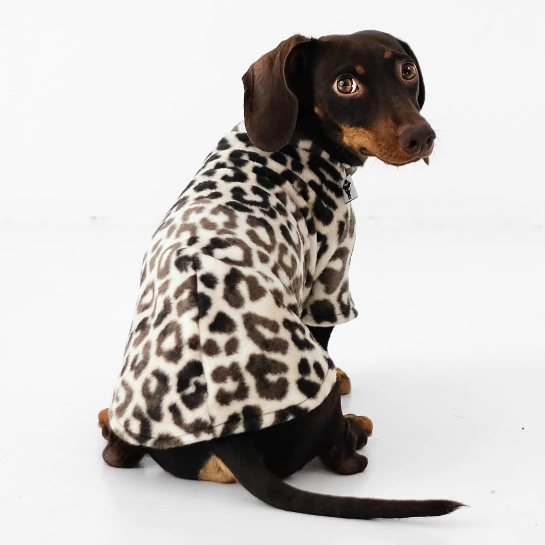 Pullover für Dackel | Leo - Hundepullover