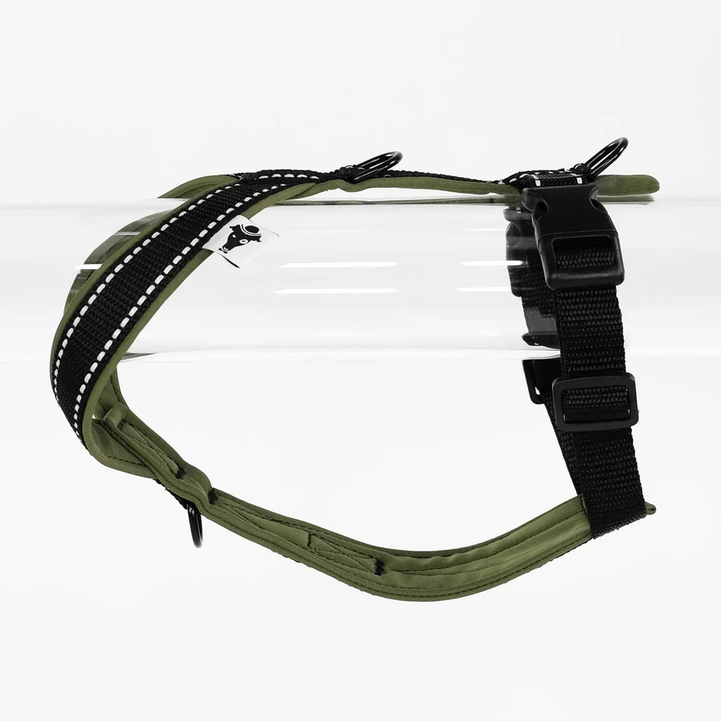 Hundegeschirr Dackel | (alte Variante) - Dark Olive / XS - Geschirr