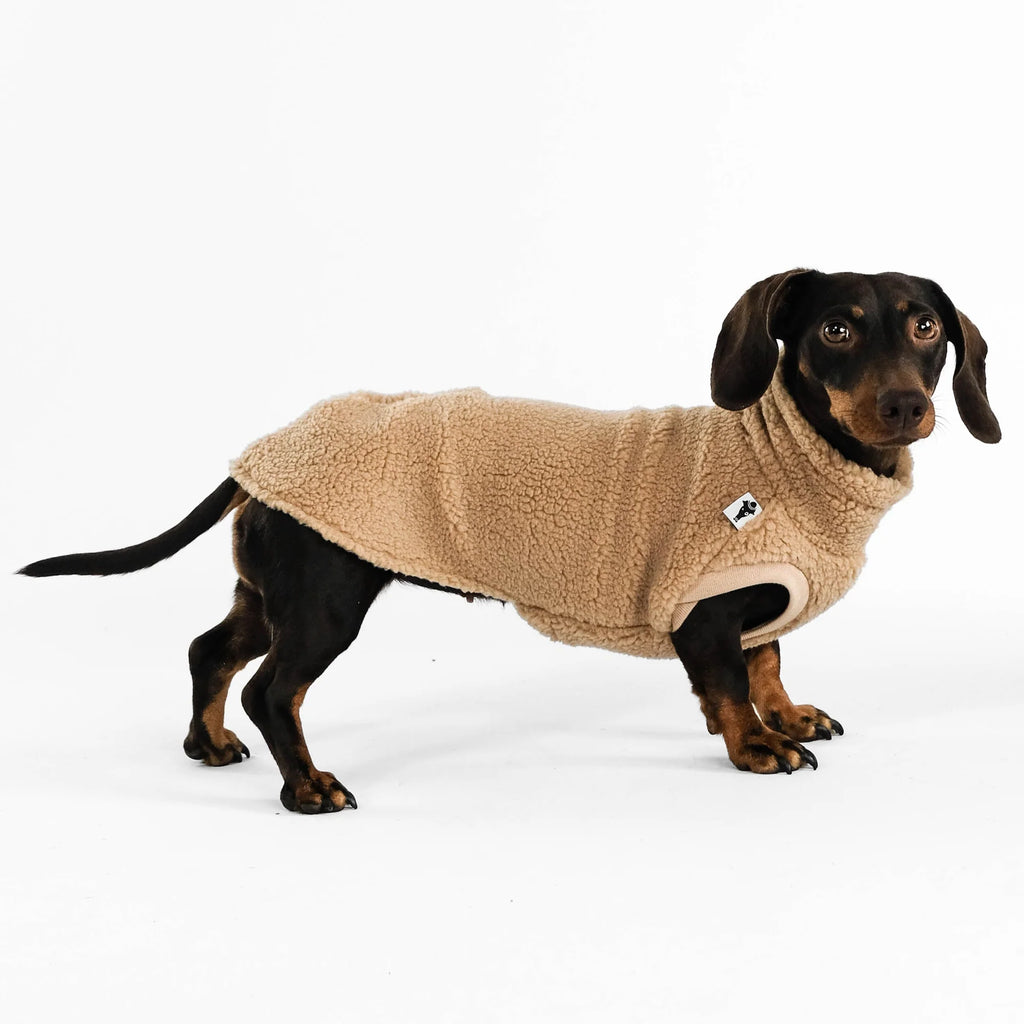 Long Shirt 2.0 für Dackel | Teddy Camel - Hundepullover