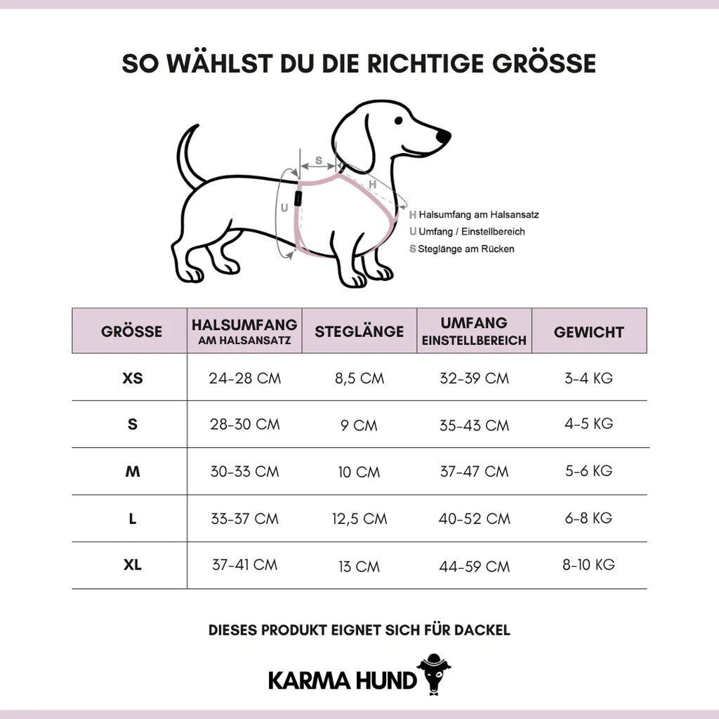 Hundegeschirr Dackel | All Black - Geschirr