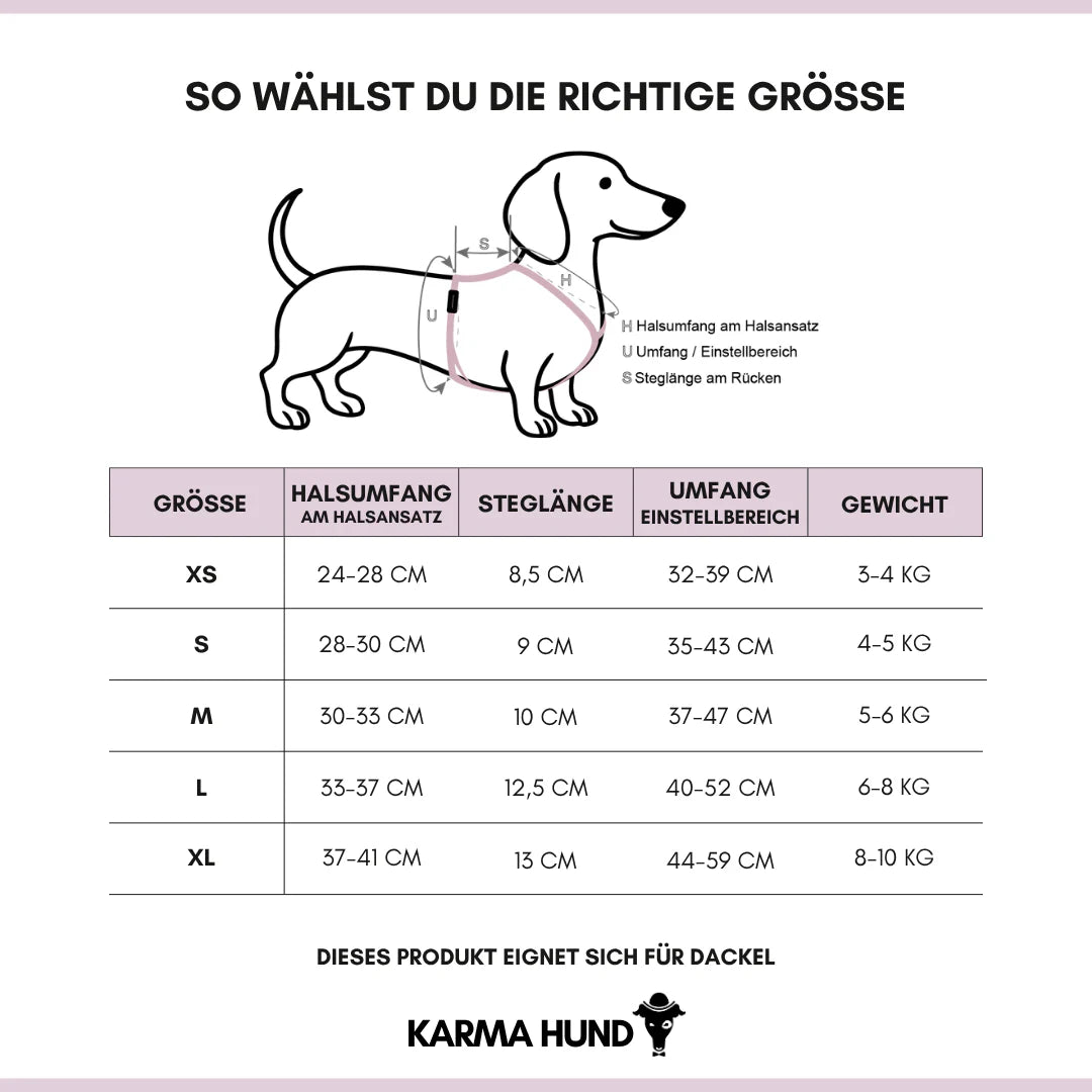 Hundegeschirr Dackel | Dark Olive - Geschirr