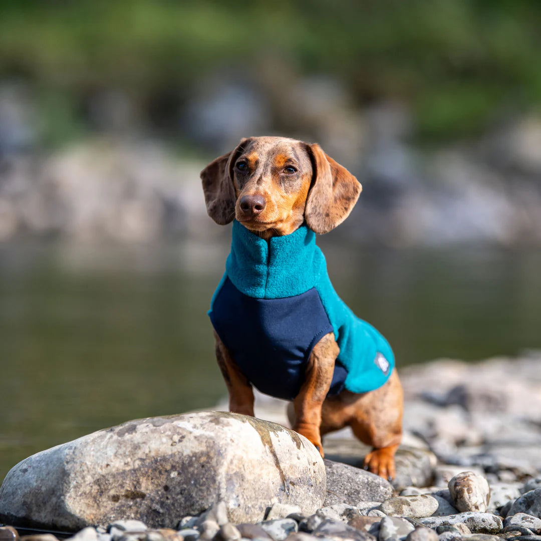 Dackel Fleecepullover mit wasserdichtem Baucheinsatz | Türkis - Hundepullover