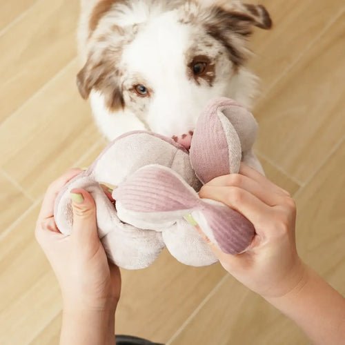 Beschäftigungsspielzeug Hund | MONTI Silence Lilac - Stoffspielzeug
