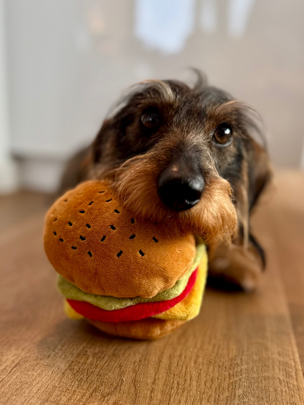 Hundespielzeug | Barky Burger - Hundespielzeug