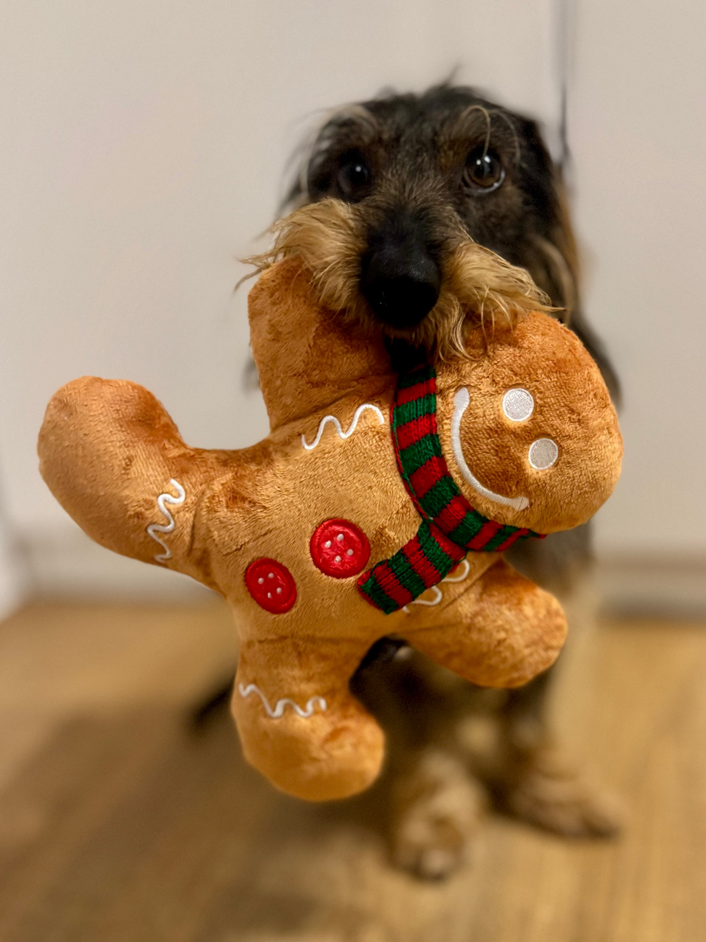 Hundespielzeug | Fröhlicher Lebkuchenmann - Hundespielzeug