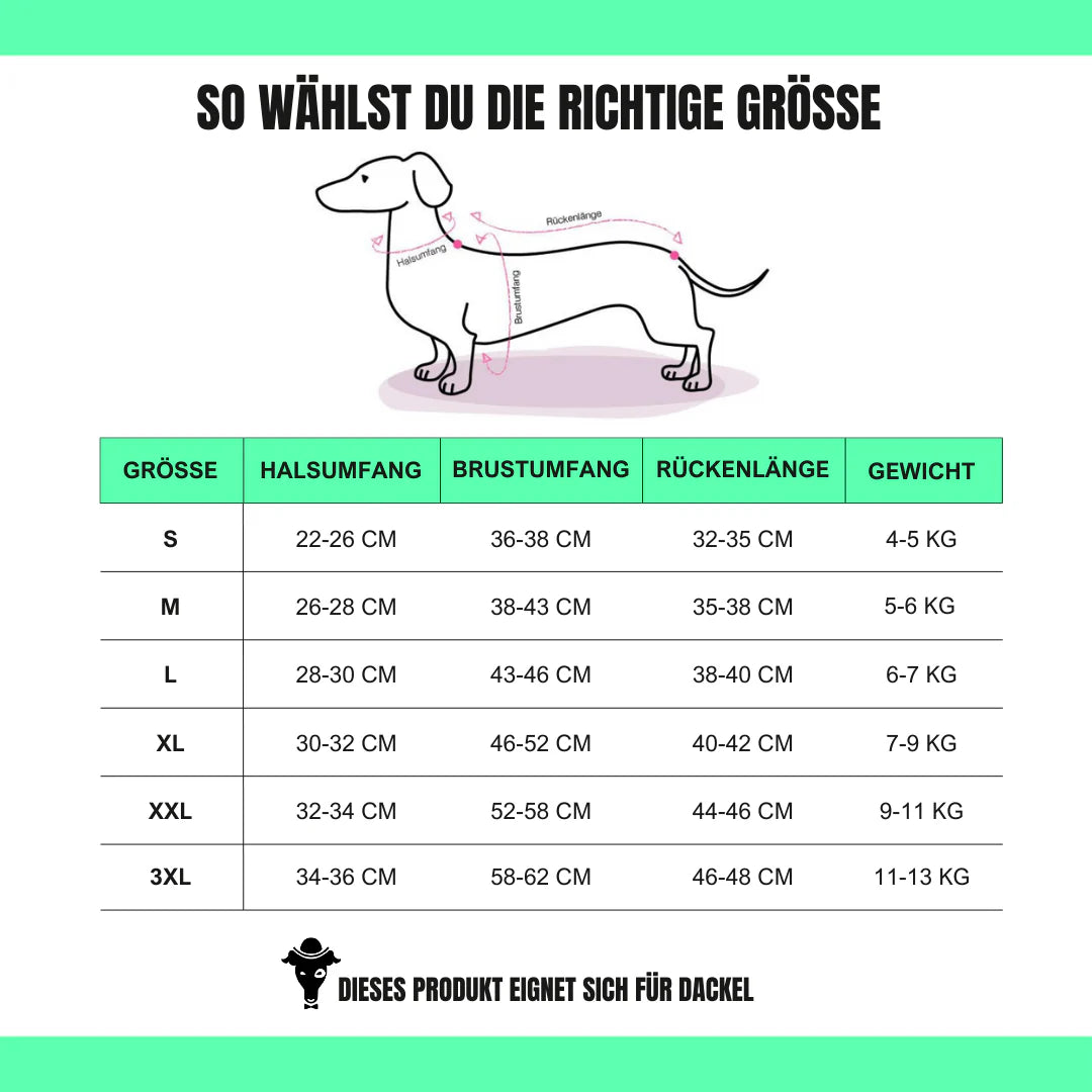 Long Shirt 2.0 für Dackel | Schwarz - Hundepullover