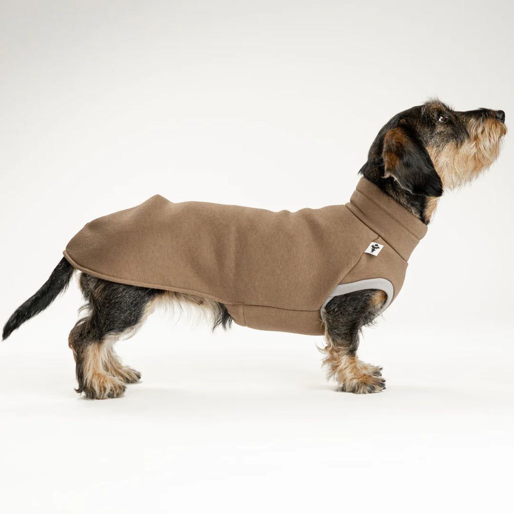 Sweatshirt 2.0 für Dackel | Mokka - Hundepullover