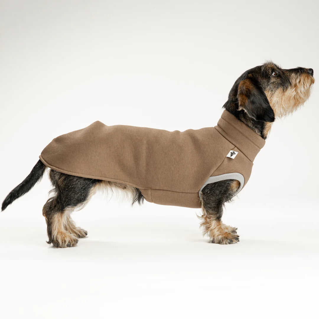 Sweatshirt 2.0 für Dackel | Mokka - Hundepullover
