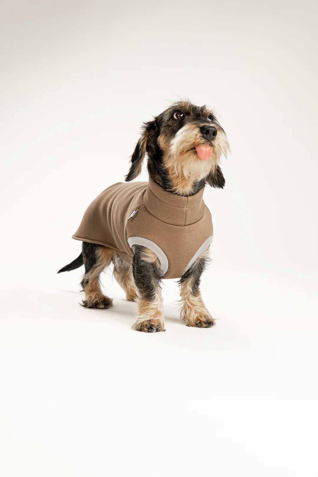 Sweatshirt 2.0 für Dackel | Mokka - Hundepullover