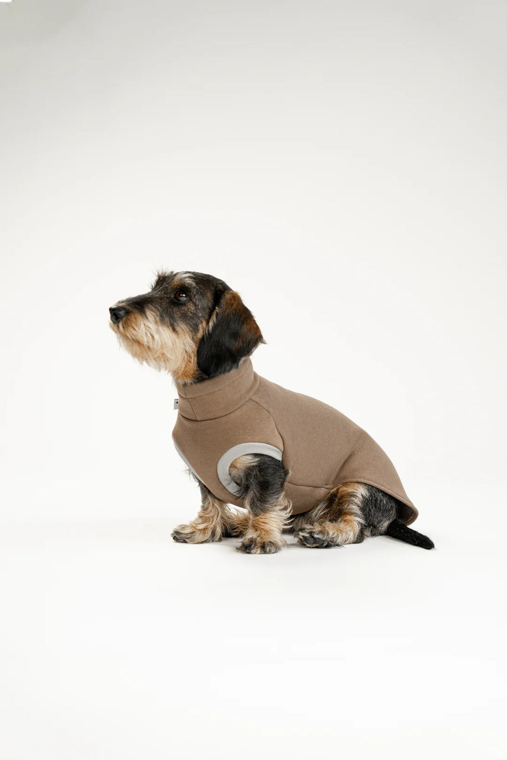 Sweatshirt 2.0 für Dackel | Mokka - Hundepullover