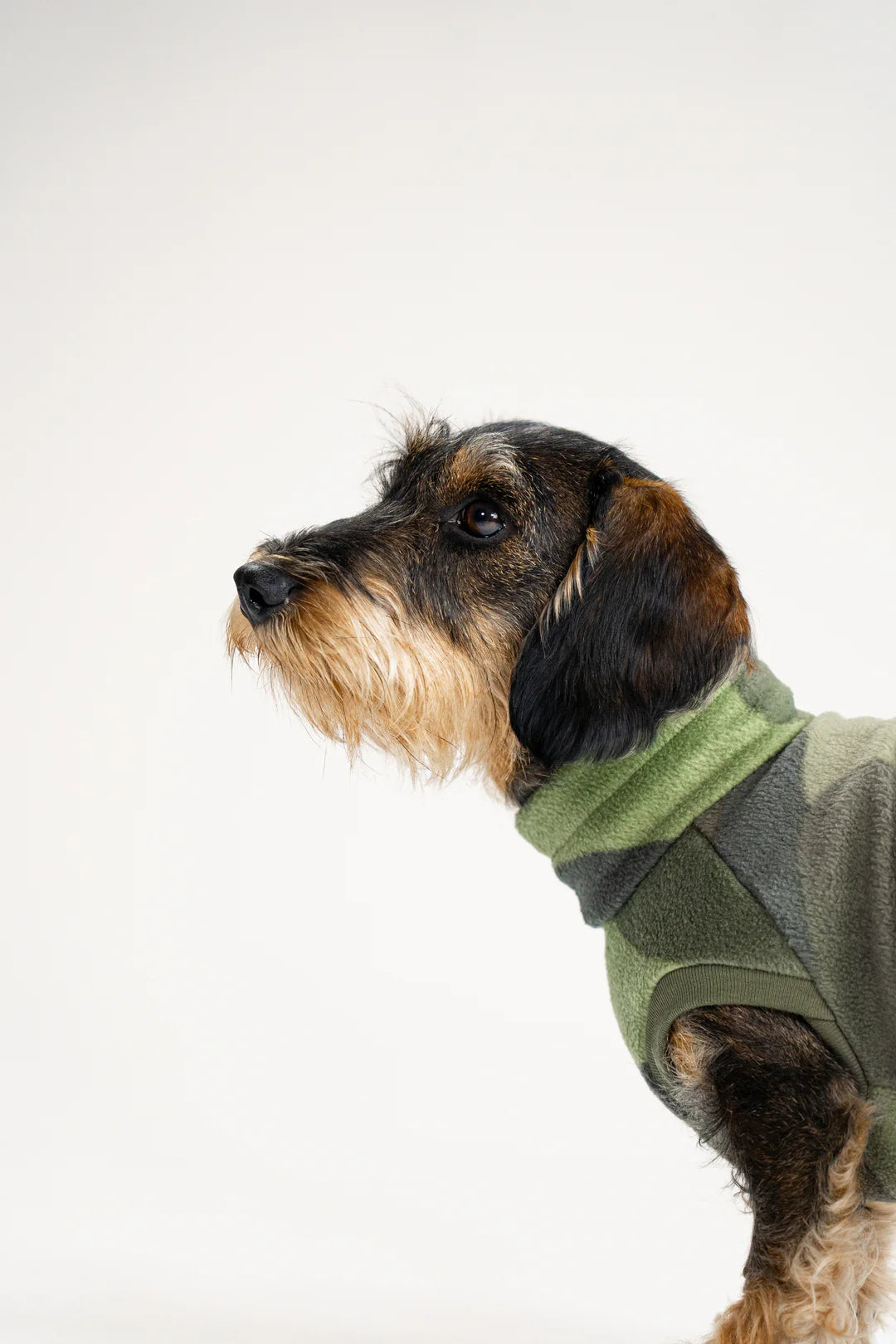 Long Shirt 2.0 für Dackel | Camouflage - Hundepullover