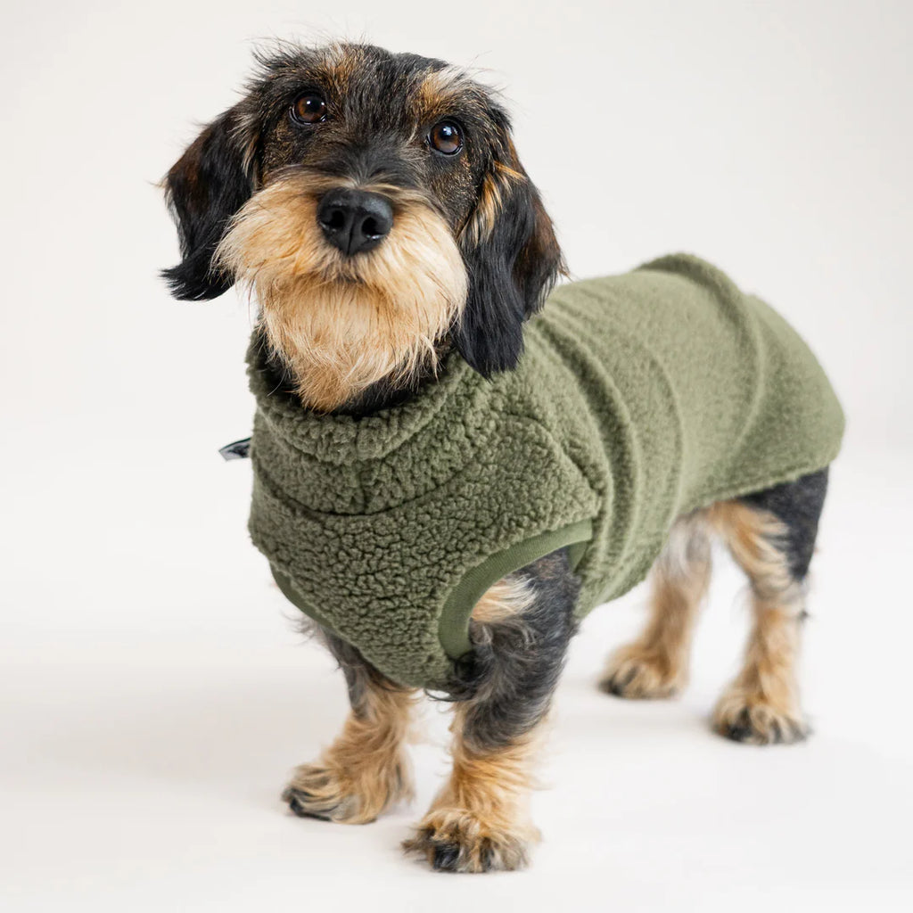 Long Shirt 2.0 für Dackel | Teddy Olive - Hundepullover