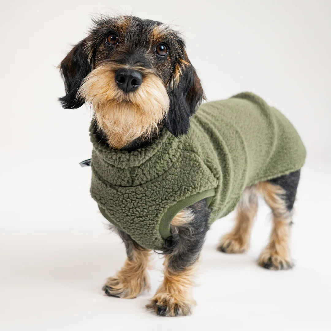Long Shirt 2.0 für Dackel | Teddy Olive - Hundepullover