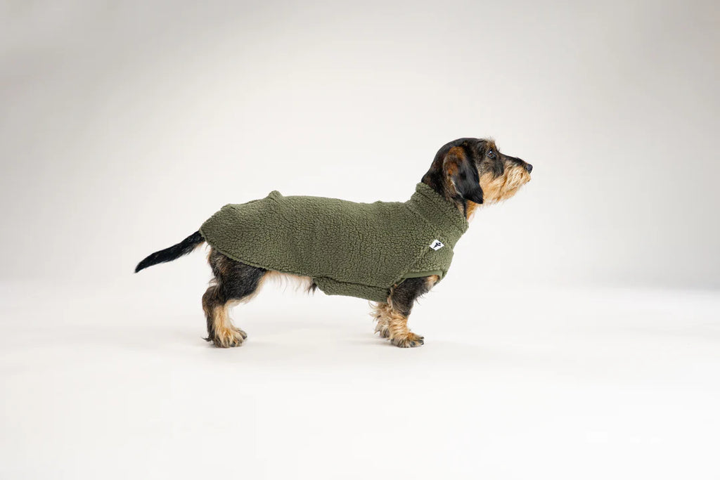 Long Shirt 2.0 für Dackel | Teddy Olive - Hundepullover