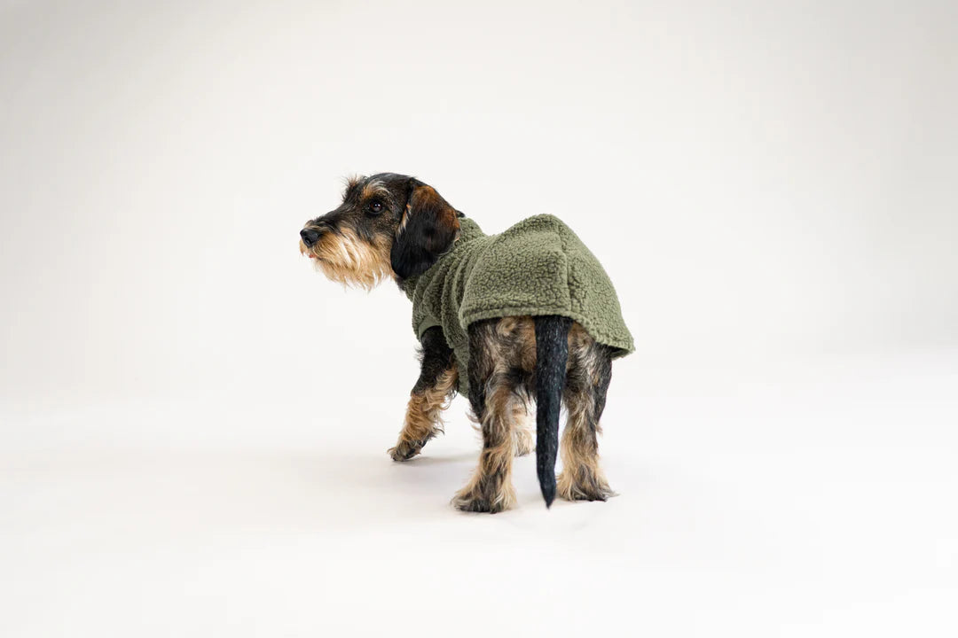 Long Shirt 2.0 für Dackel | Teddy Olive - Hundepullover