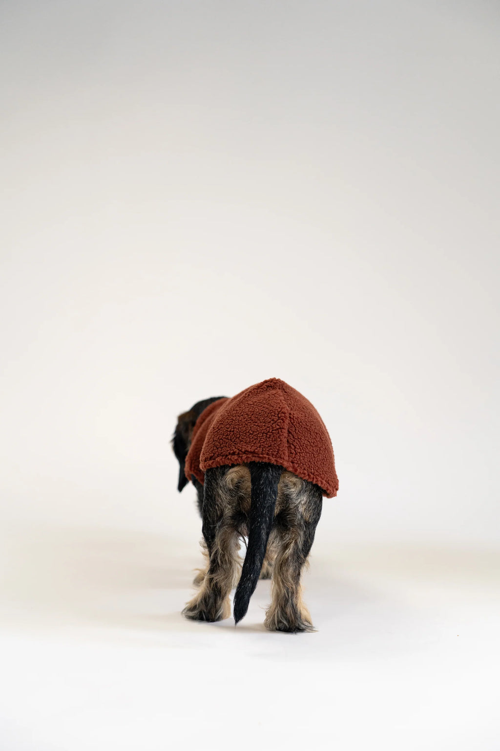 Long Shirt 2.0 für Dackel | Teddy Brown - Hundepullover