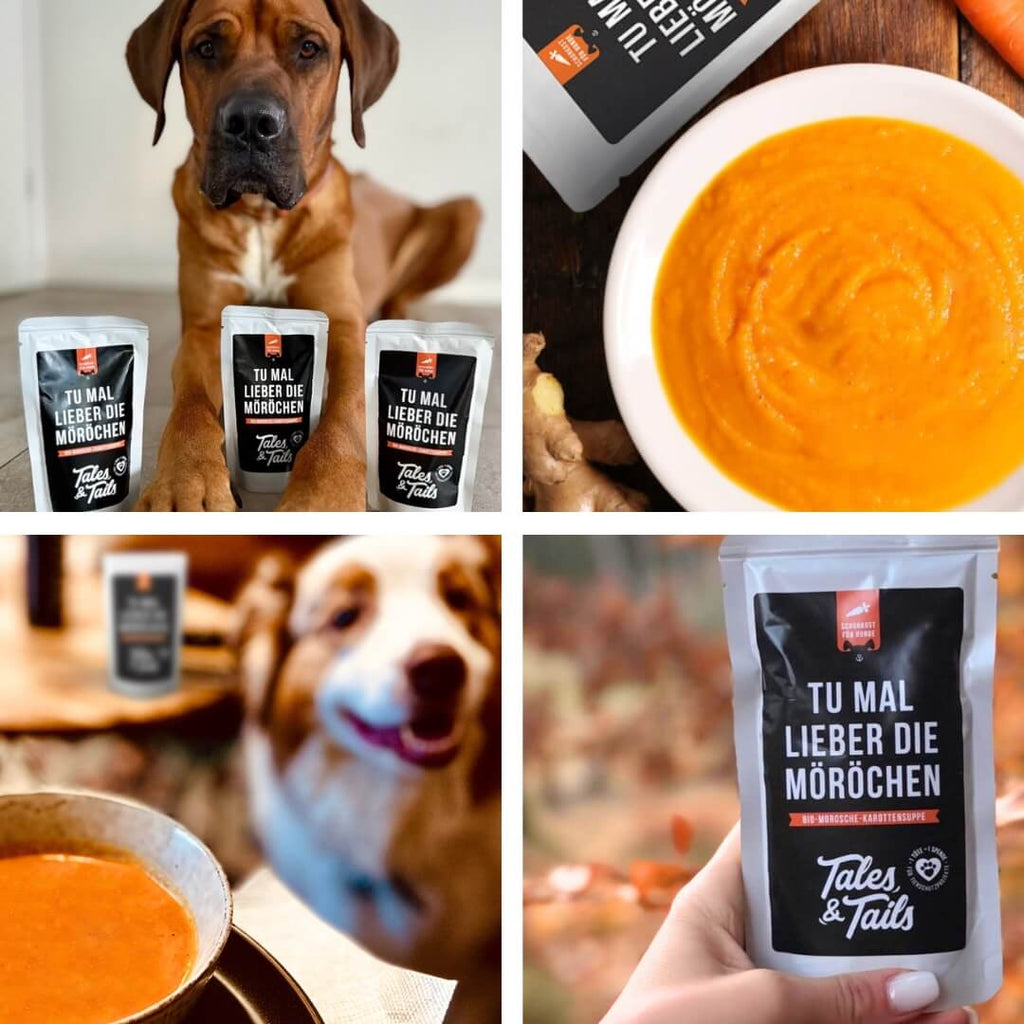 Schonkost | Tu mal lieber die Möröchen - Snack