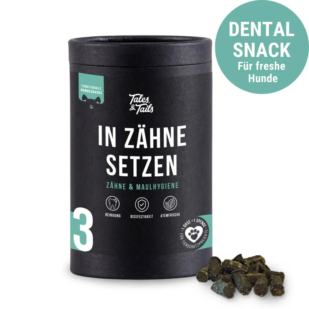 Zahnpflege Snack | In Zähne setzen - Zahnpflege