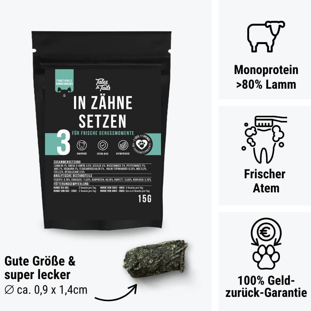 Zahnpflege Snack | In Zähne setzen - 15g | Probe - Zahnpflege