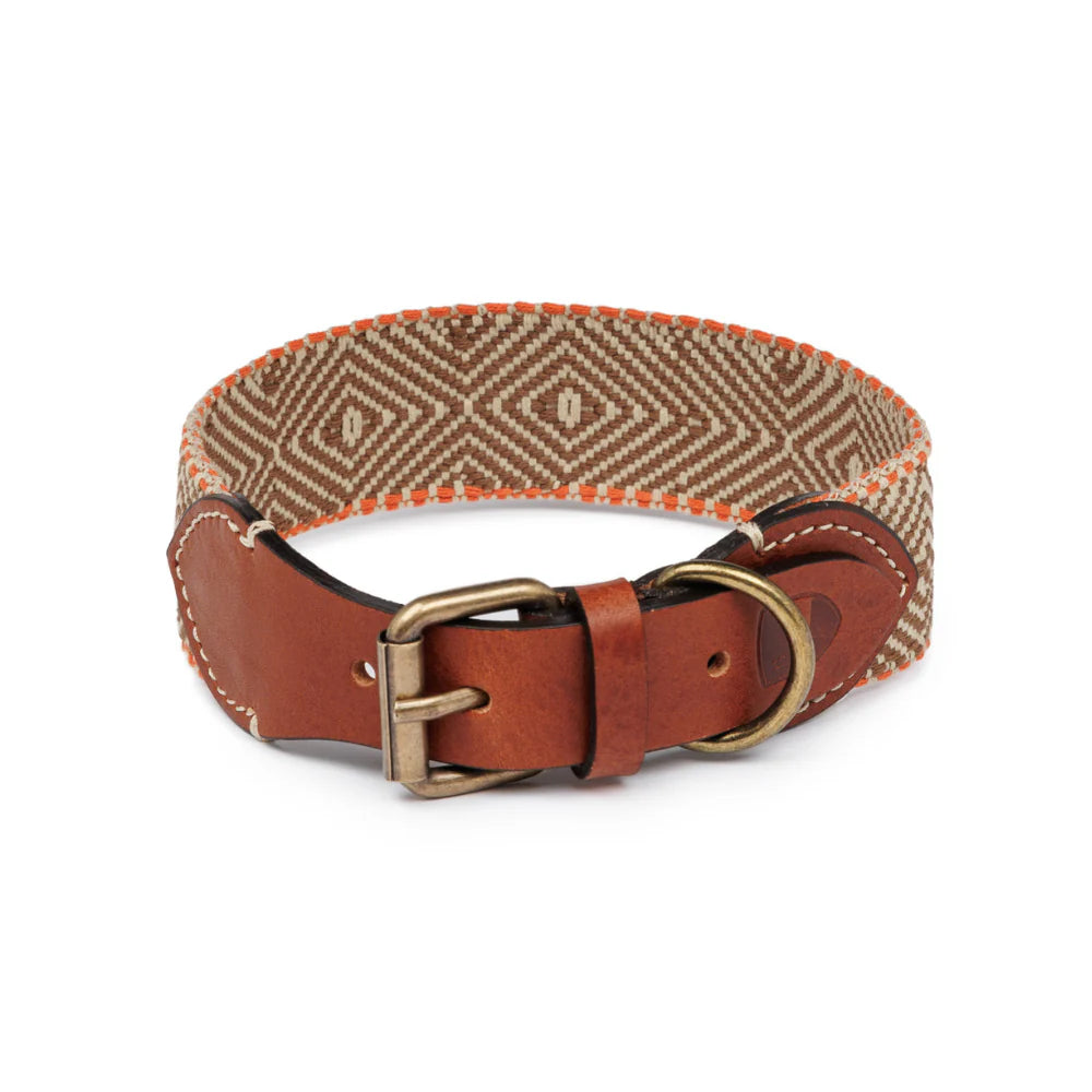 Hundehalsband | Capri Isola | Buddys Dogwear - Halsband