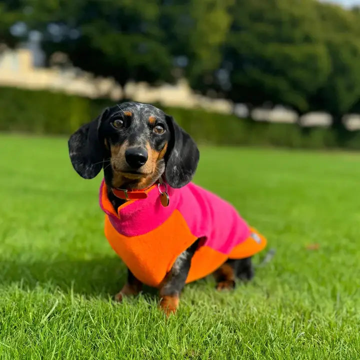 Dackel Fleecepullover | Zweifarbig - Orange-Pink / XS - Hundepullover