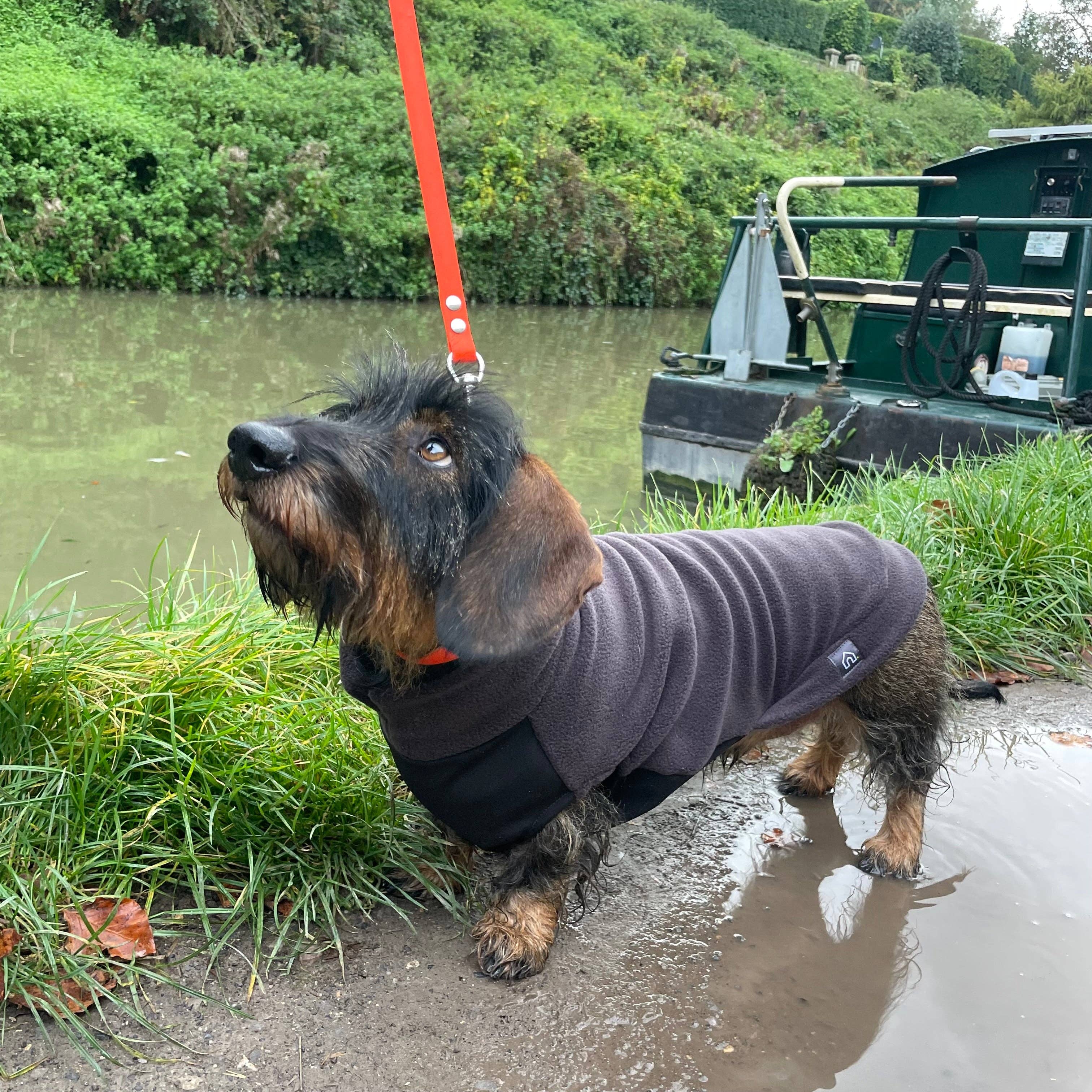 Standard Dackel Fleecepullover | mit wasserdichtem Baucheinsatz - Hundepullover