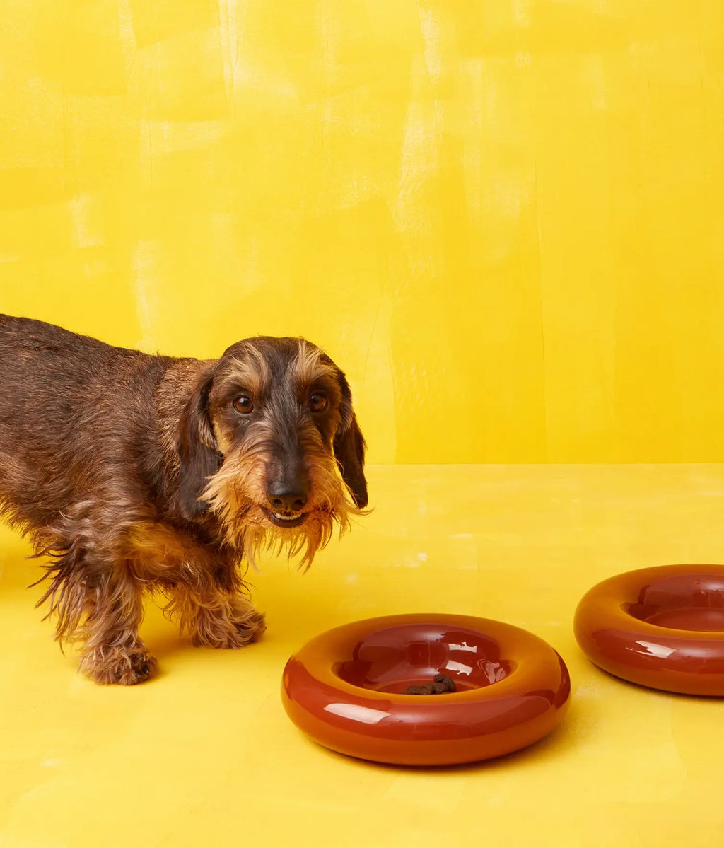 Handgefertigter Keramiknapf Braun von HotDog – Ansicht 4