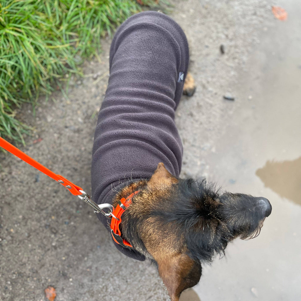 Standard Dackel Fleecepullover | mit wasserdichtem Baucheinsatz - Hundepullover