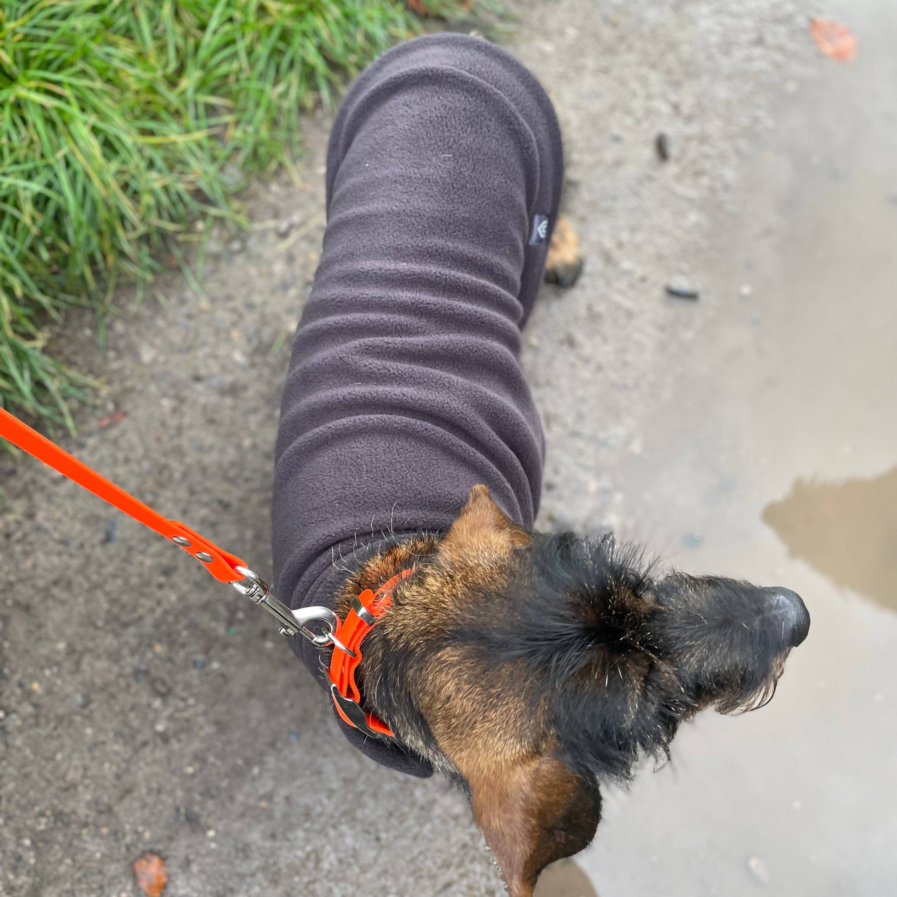 Standard Dackel Fleecepullover | mit wasserdichtem Baucheinsatz - Hundepullover