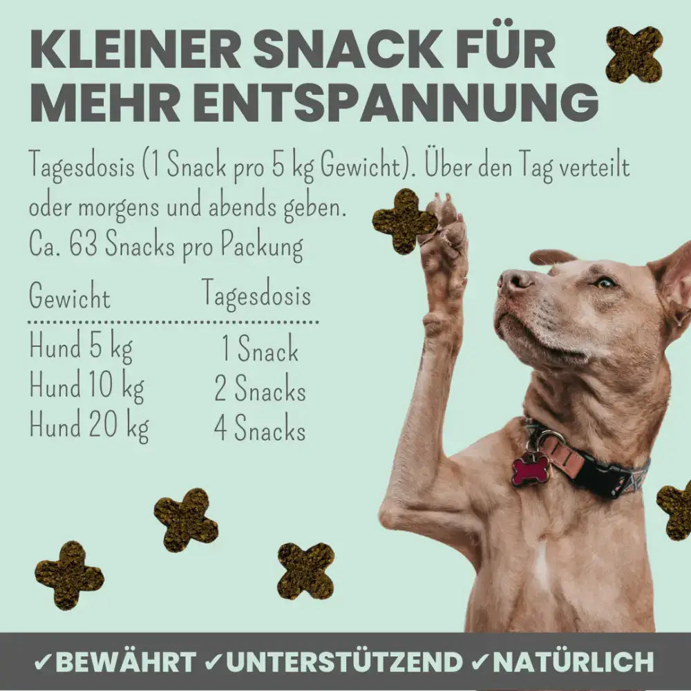Sanfte Beruhigung ohne Chemie – Beruhigungssnacks mit Superfoods wie Karotte & Kartoffel.