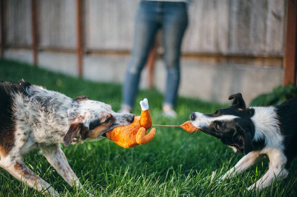 Hundespielzeug | Holiday Hound Truthahn - Hundespielzeug