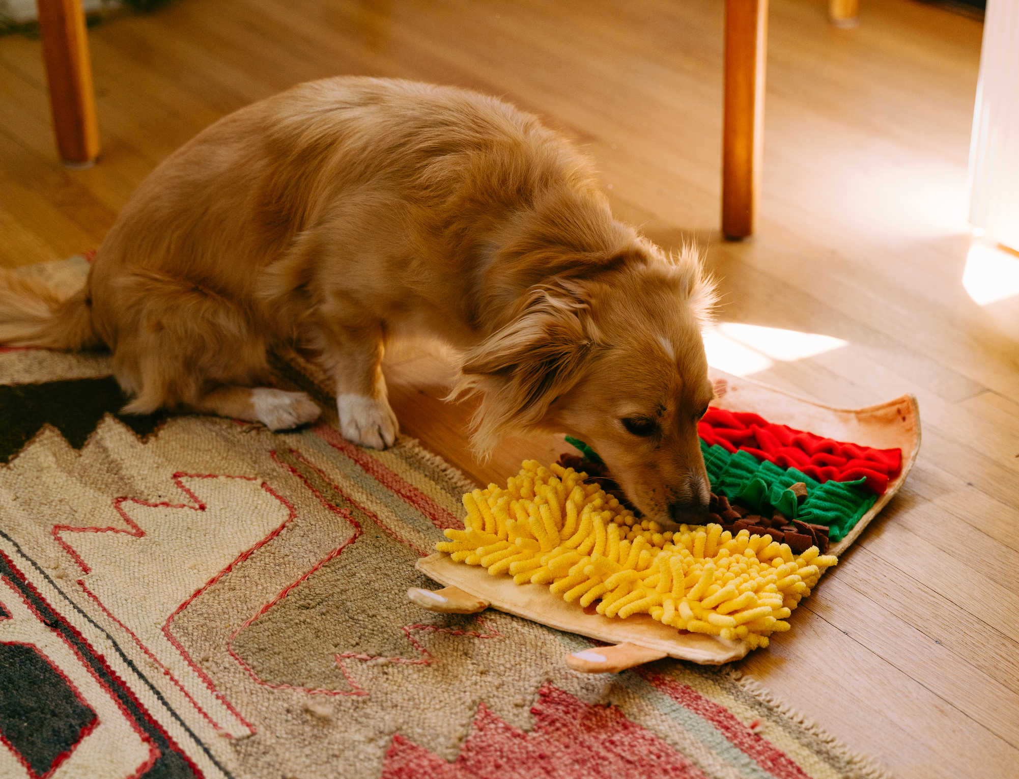 Beschäftigungsspielzeug | Snufflerz Rolle Burrito - Hundespielzeug