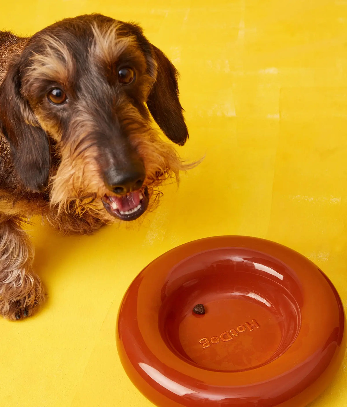 Handgefertigter Keramiknapf Braun von HotDog – Ansicht 6