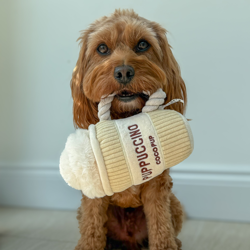 Hundespielzeug | Puppuccino - Hundespielzeug