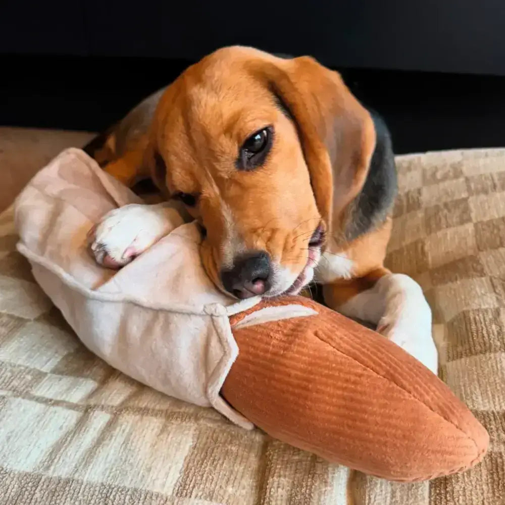 BAGUETTE Intelligenzspielzeug für Hunde – Papiertüte mit Knistergeräuschen und Versteckleckerlis von Lambwolf Collective