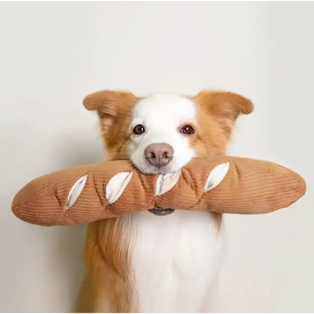 BAGUETTE Hundespielzeug – Mit Ultraschall-Quietschern und Versteckmöglichkeiten für extra Spaß