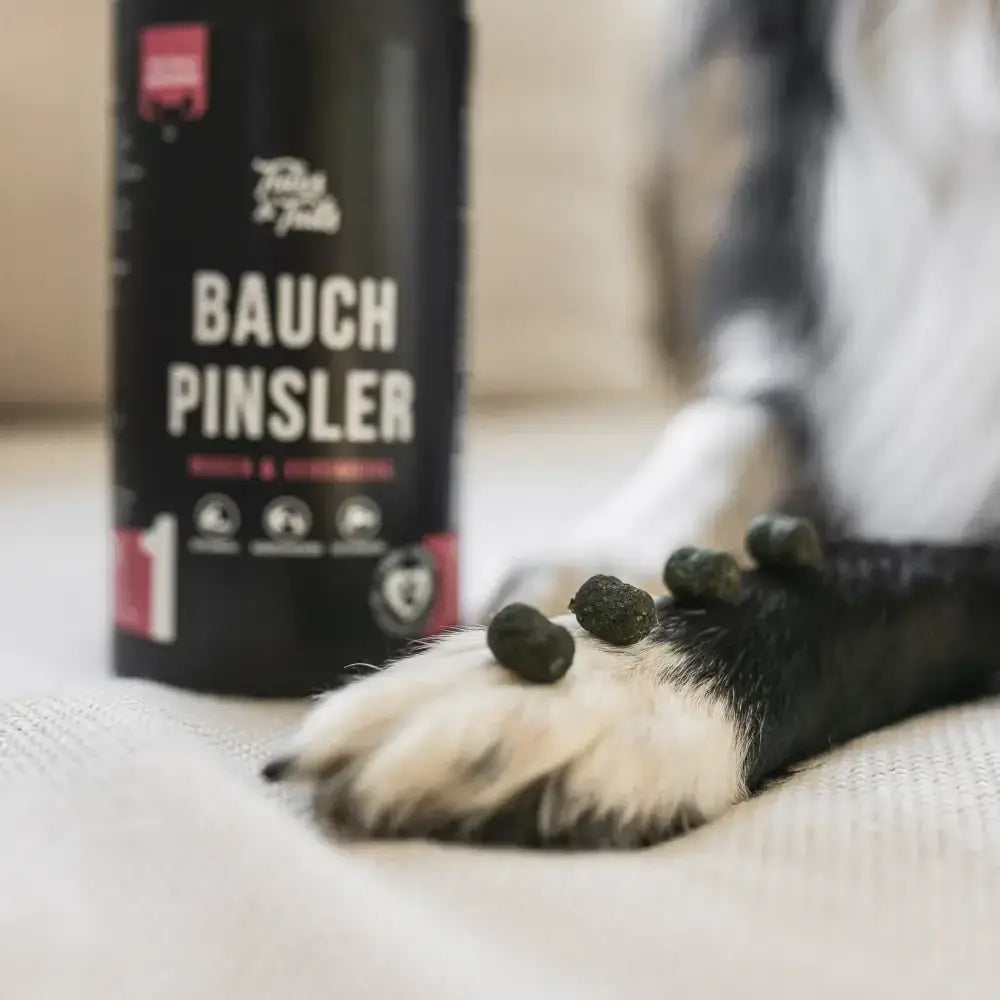 Bauchpinsler von Tales & Tails in stilvoller Dose – funktionaler Snack für empfindliche Hunde, 325 g Inhalt