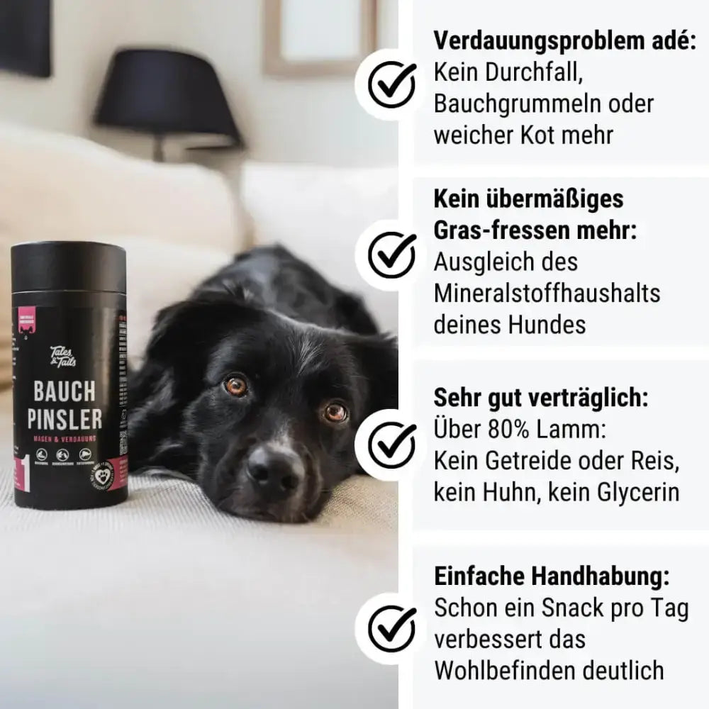 Die Vorteile von Bauchpinsler auf einen Blick – mit natürlichen Zutaten wie Lamm, Fenchel & Probiotika für ein gutes Bauchgefühl