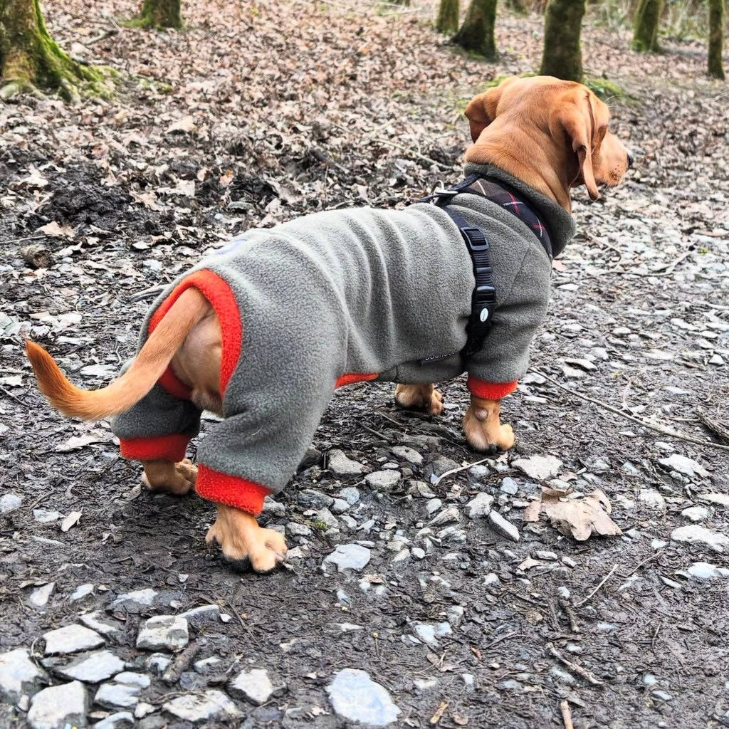 Dackel Fleece Winteranzug | Olive - Hundemantel