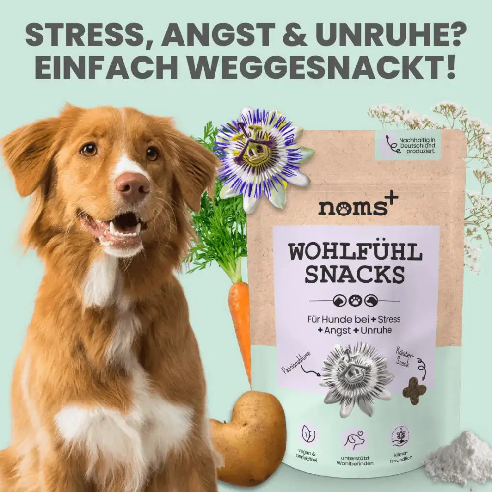 Beruhigungs-Snacks für Hunde von noms+ – Sanfte Unterstützung für entspannte Nerven, ideal für ängstliche Hunde.