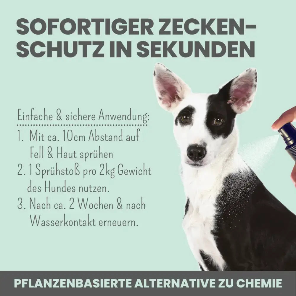 Der beste natürliche Zeckenschutz für Hunde – wirksam, hautfreundlich und ideal für jedes Abenteuer.
